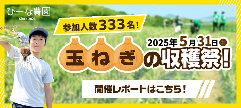 玉ねぎの収穫祭 レポート