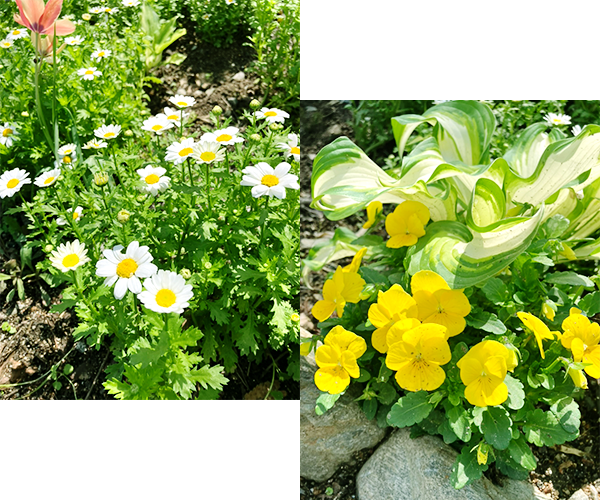 とわGardenについて