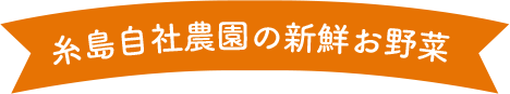 糸島自社農園の新鮮お野菜