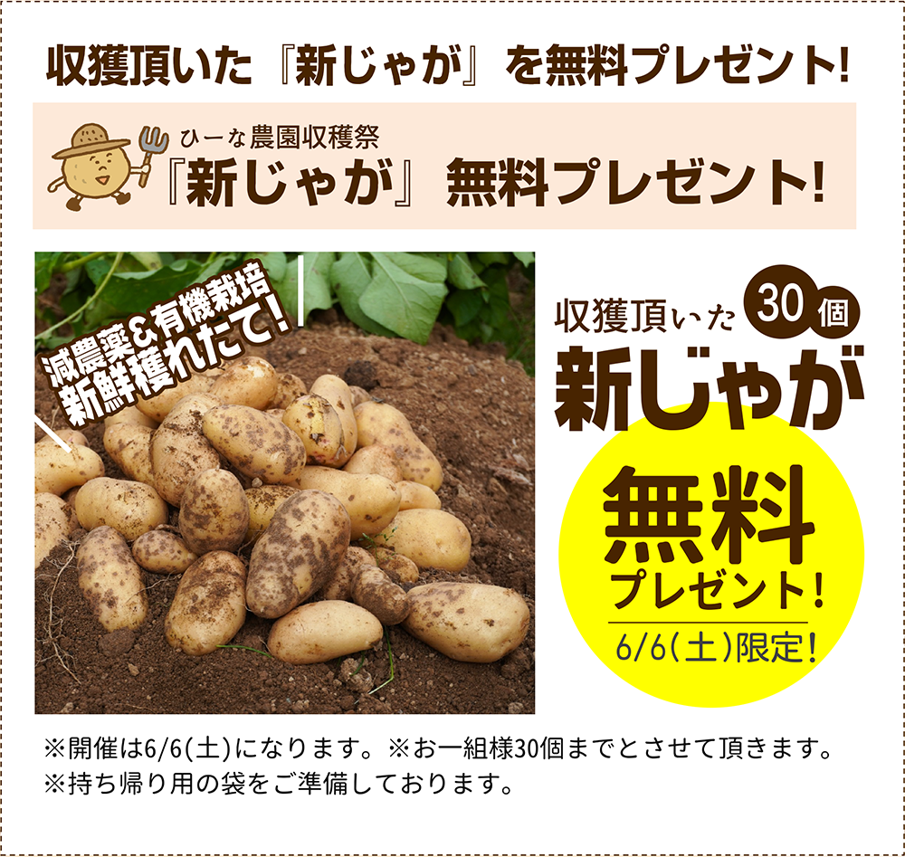 無料プレゼント