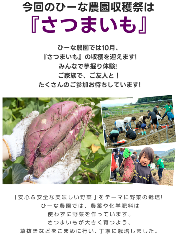 今回のひーな農園収穫祭は「さつまいも」です