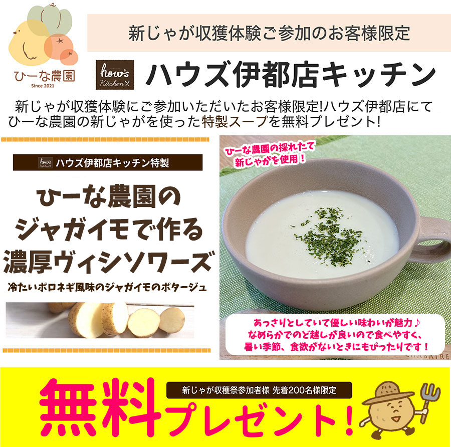 濃厚ヴィシソワーズ