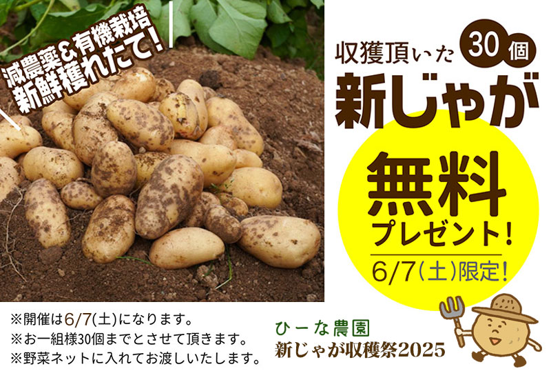 無料プレゼント