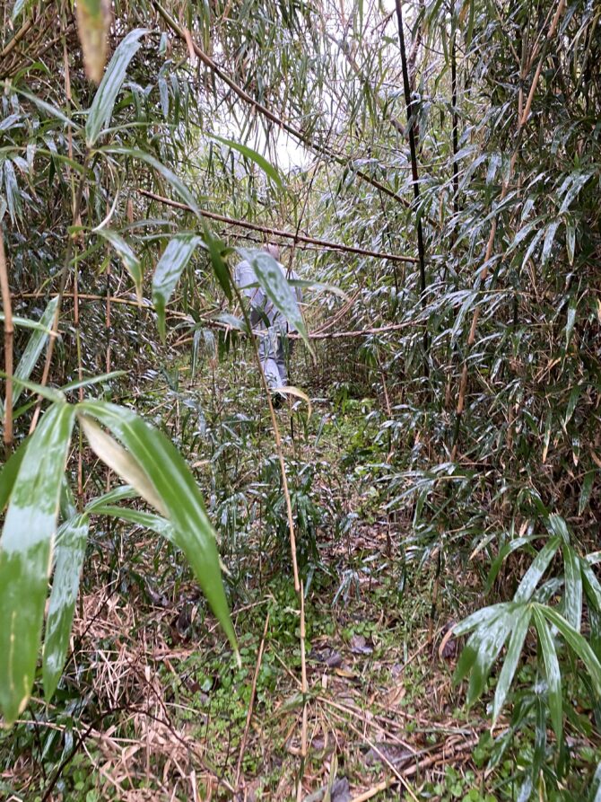 耕作放棄地の開墾作業を行いました ひーな農園|シティ情報ふくおかとハウズが運営する自社農園 | ひーな農園|シティ情報ふくおかとハウズが